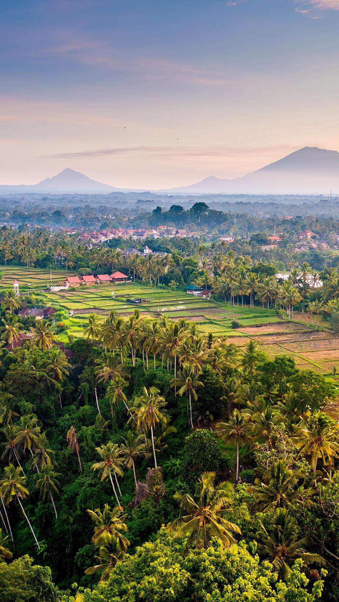 Bali rice terraces at golden hour